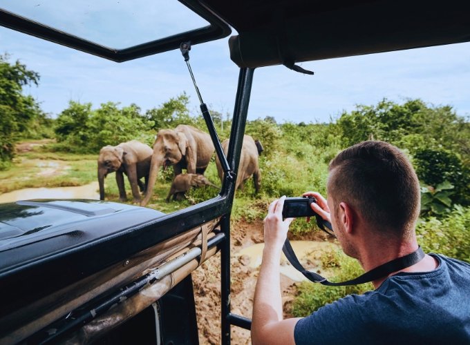 Udawalawe National Park Safari Adventure Day Tour